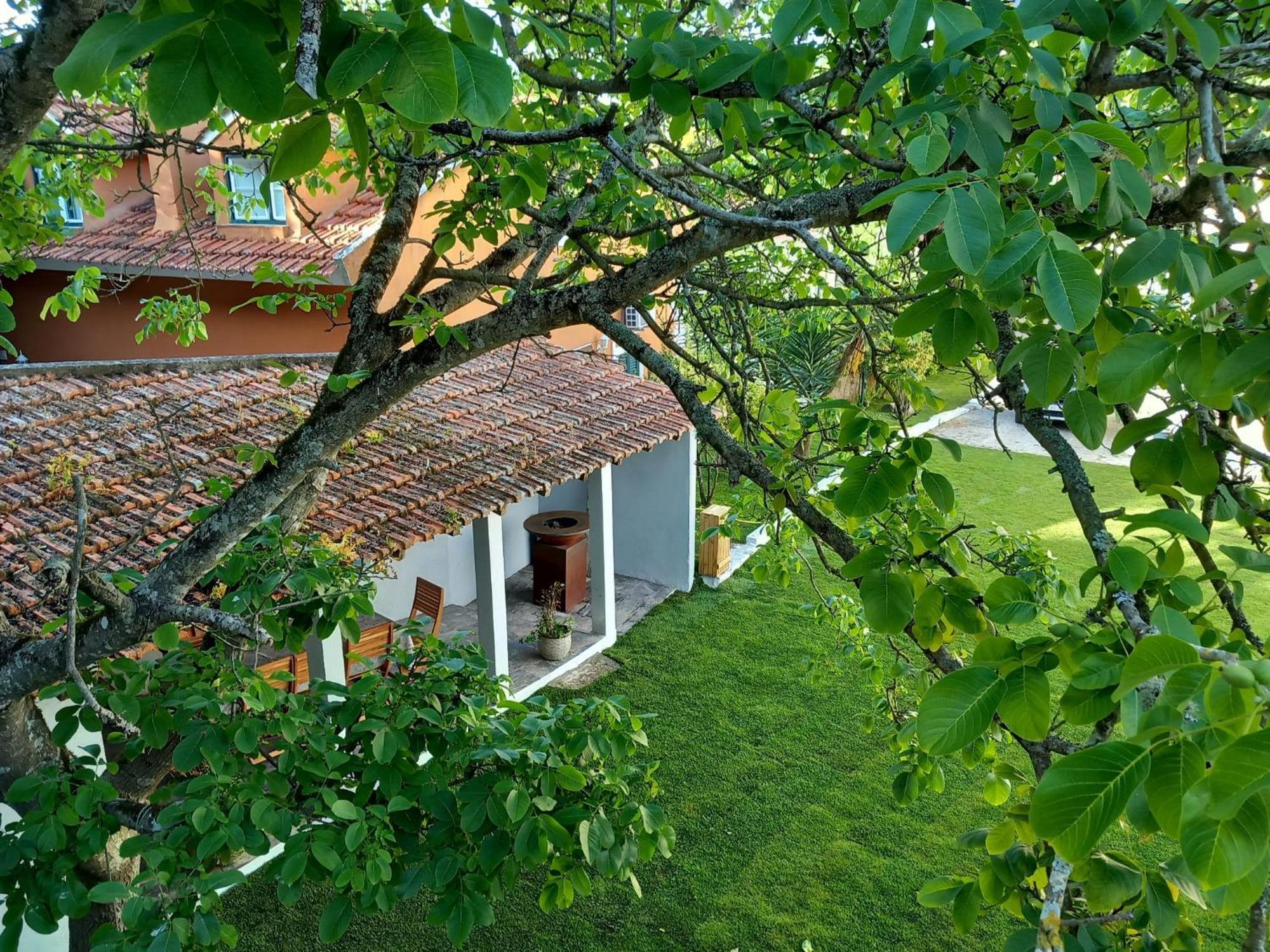 Villa In Sintra - Casa Da Penha Ferrim 외부 사진