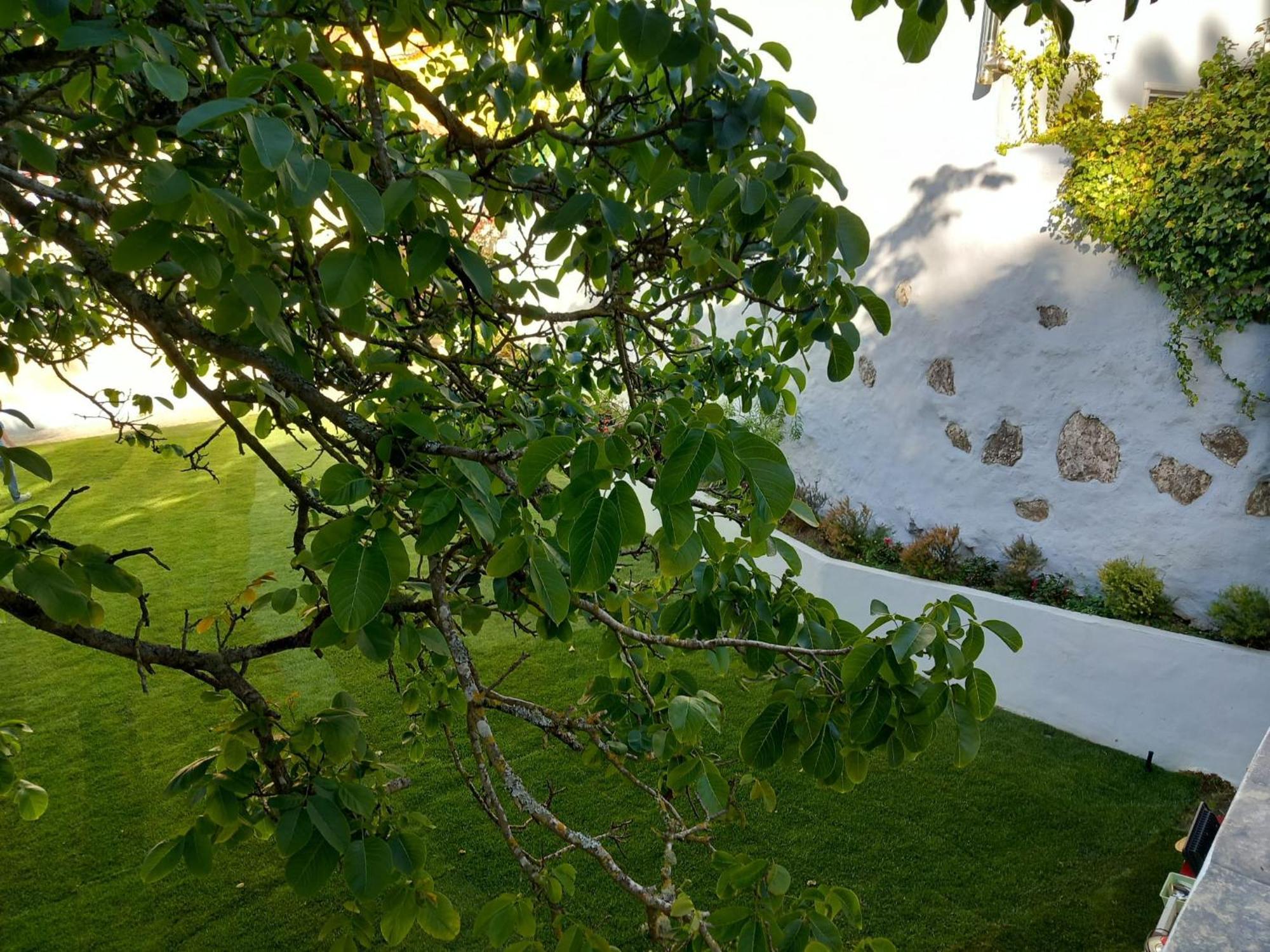 Villa In Sintra - Casa Da Penha Ferrim 외부 사진