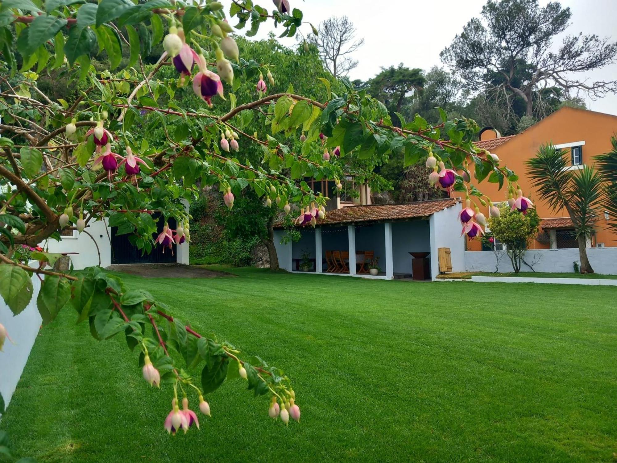Villa In Sintra - Casa Da Penha Ferrim 외부 사진