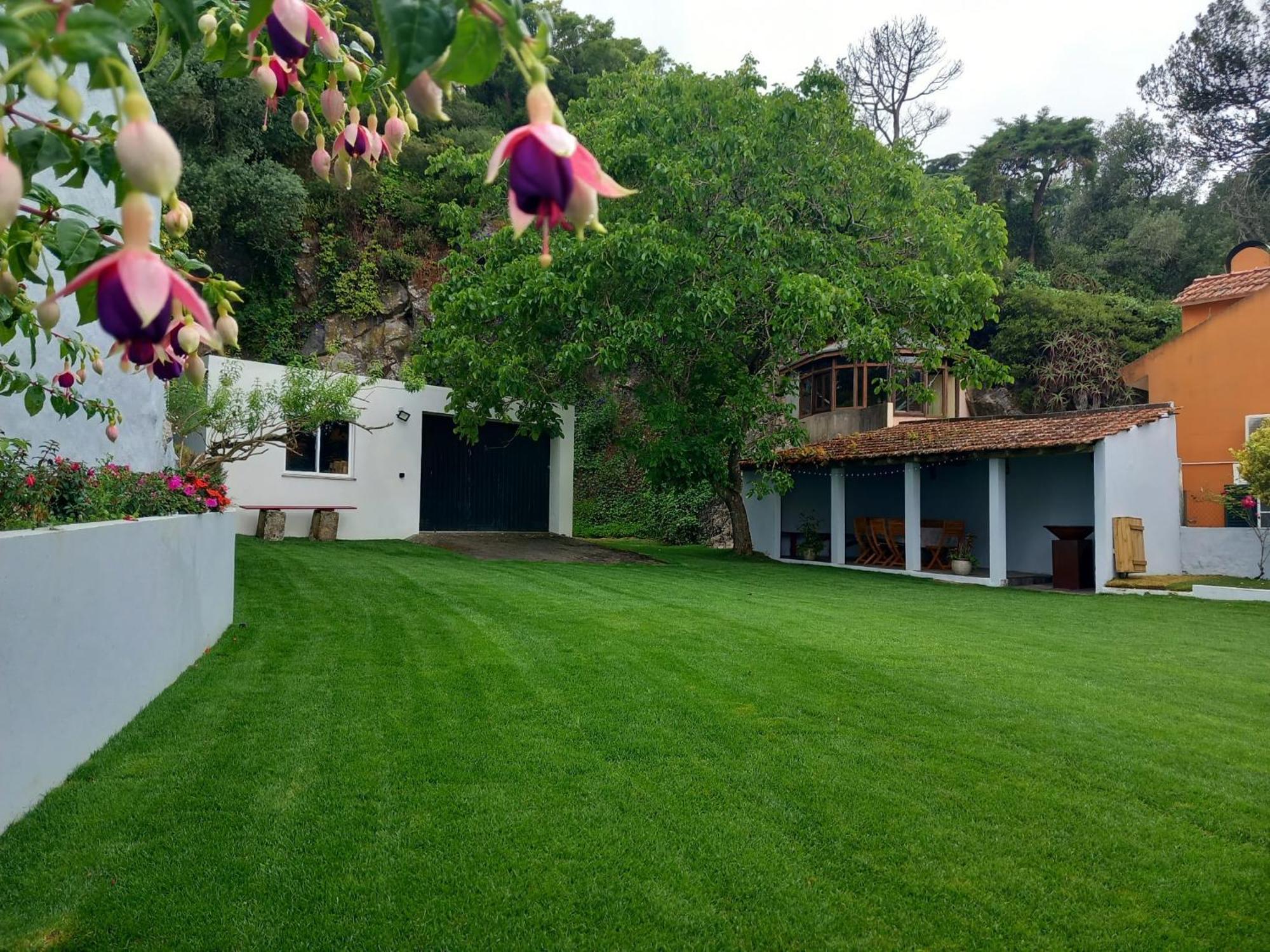 Villa In Sintra - Casa Da Penha Ferrim 외부 사진